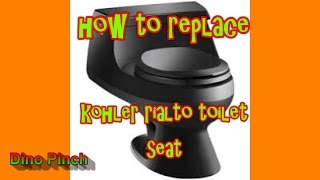 SEAT REPLACEMENT KOHLER RIALTO toilet K3386 dino [upl. by Yim]