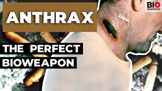 Anthrax Nature’s Perfect Bioweapon [upl. by Idnyc]