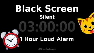 Black Screen 🖥 3 Hour Timer Silent 1 Hour Loud Alarm [upl. by Dagall]