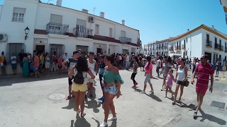 Encierro Capeas Trigueros 2016 Charanga quotLa Tribuquot Sueltas de Vaquillas HD [upl. by Eiffe553]