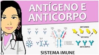 Imunologia 08  Antígeno e Anticorpo  Vídeo aula de sistema imune [upl. by Faun]