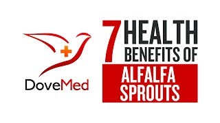 7 Health Benefits Of Alfalfa Sprouts [upl. by Nessaj]