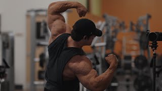 IFBB Pro Arm Workout [upl. by Nisa]