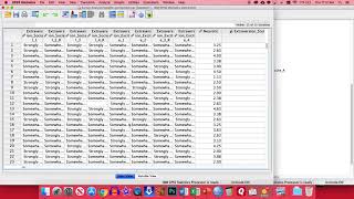 SPSS  Survey Analysis [upl. by Hines]