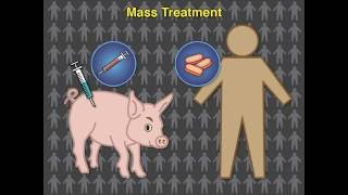 Eradicating Pork Tapeworm Transmission [upl. by Mehetabel619]