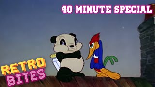 Woody Woodpecker classic  Knock Knock  40 Minute Special  Old Cartoons  Retro Bites [upl. by Aieki]