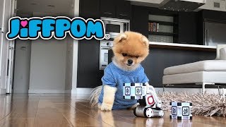 Jiffpom and Cozmo the Robot [upl. by Apfelstadt]