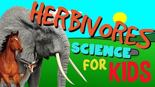 What is a Herbivore  Science for Kids [upl. by Akiehsat17]