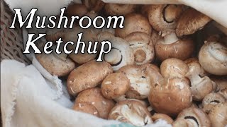 Making Mushroom Ketchup  18th Century Cooking [upl. by Burnight]