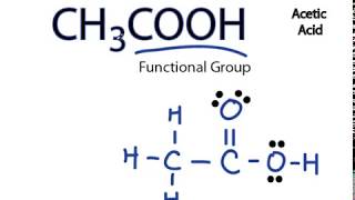 CH3COOH Lewis Structure Acetic acid [upl. by Ardelle]