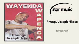 Phungu Joseph Nkasa  Wayende Wapenga  Official Audio [upl. by Anelram68]