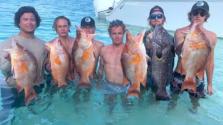 INSANE Bahamas Spear Fishing Hogfish Grouper and Snapper CATCH CLEAN COOK [upl. by Sitto]