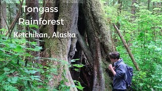 Alaska Cruise Shore Excursion Tongass Rainforest Ketchikan Alaska RECOMMENDED [upl. by Bomke595]