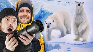 ON OBSERVE DES OURS AU PÔLE NORD  LExpédition Polaire 2 [upl. by Thier30]