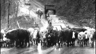 A Slideshow of the 1985 Flood in West Virginia [upl. by Booker]