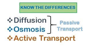 Cell Transport Diffusion osmosis active transport [upl. by Darnoc]