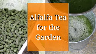 Alfalfa Tea for the Garden [upl. by Ennej]