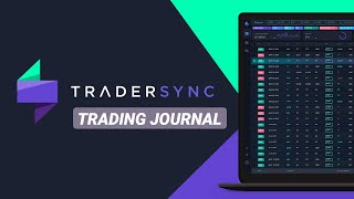 A Quick Tour of TraderSync [upl. by Pius914]