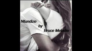 Ntundize by Bruce Melodie official lyrics [upl. by Tita185]