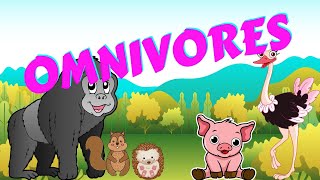 Omnivores  Types of Animal  Science for Kids [upl. by Drus]