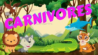 Carnivores  Types of Animals  Science for Kids [upl. by Adalbert]