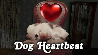 ▶️ Dog Heartbeat Puppy Sleep Training Dog Heartbeat Sound Effect Heartbeat Sound 10 Hours 🌏 [upl. by Benedikta]