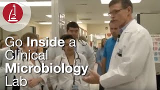 Go Inside a Clinical Microbiology Lab [upl. by Arbmat679]