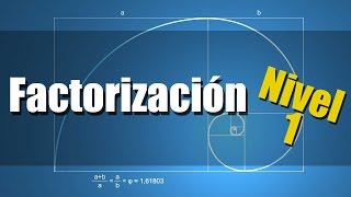 Factorización  Ejercicios Resueltos Nivel 1 [upl. by Athena]