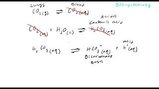 Biochemistry Lecture 3 Physiological Buffers [upl. by Wsan67]