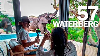 57 WATERBERG  Elephants came to our honeymoon suite  South Africa Safari [upl. by Towney]