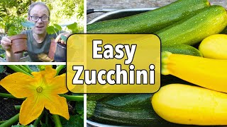 Growing Zucchini Courgettes from Sowing to Harvest [upl. by Shelburne]