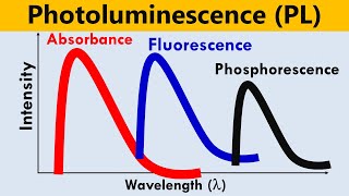 Photoluminescence PL Spectroscopy [upl. by Fitzsimmons287]