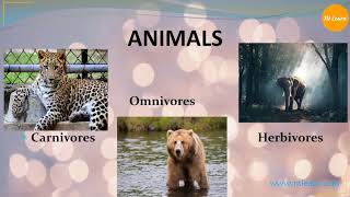 Animals Herbivores Carnivores Omnivores and Scavengers [upl. by Eanrahc]