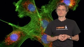 Microscopy Introduction to Fluorescence Microscopy Nico Stuurman [upl. by Bill42]