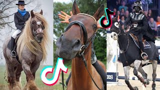 The Best HORSE  TikTok Compilation 50 [upl. by Ecirahs]