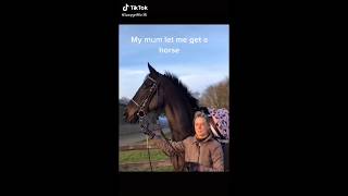 HORSE TIK TOK COMPILATION [upl. by Daren]