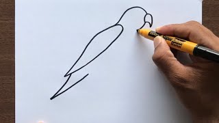 How to Draw a Parrot [upl. by Riker609]