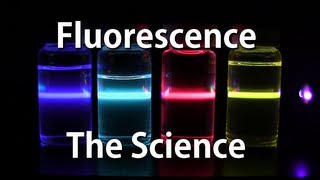 How Fluorescence Works  The Science [upl. by Tumer690]