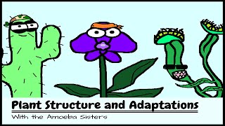 OLD VIDEO Plant Structure and Adaptations [upl. by Hescock]