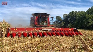 2019 Corn Harvest 16 Rows At a Time Case IH 9240 Combine [upl. by Esilrahc]