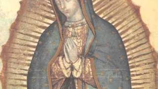 La historia de las apariciones de la Virgen de Guadalupe [upl. by Shanda219]