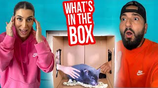 WHATS IN THE BOX CHALLENGE FT SHADIA [upl. by Willis]