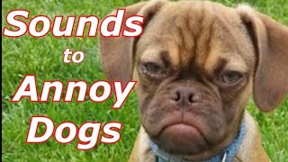 Sounds To Annoy Dogs [upl. by Odraode]