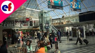 Gare De Lyon Train Terminal in Paris  Explore France [upl. by Eidod]