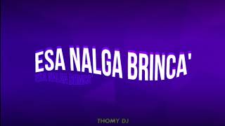 Thomy DJ  Esa Nalga Brinca📯 [upl. by Kalle]