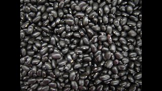 Black Beans 101  How to Prepare Dried Black Beans [upl. by Hutchings]