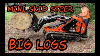 122 Cormidi Mini Skid Steer Moving Giant Hardwood Logs [upl. by Imoyn]