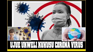 THE STORY BOOK Ukweli Muhimu Zaidi Kuhusu Corona [upl. by Atteyek]