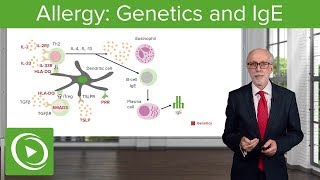 Allergy Genetics and IgE – Immunology  Lecturio [upl. by Nobel]