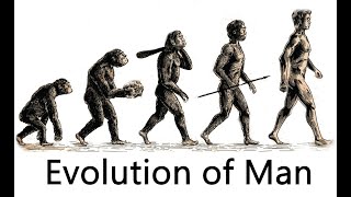 The Evolution of Man 7 million years ago  50000 years ago [upl. by Mose]